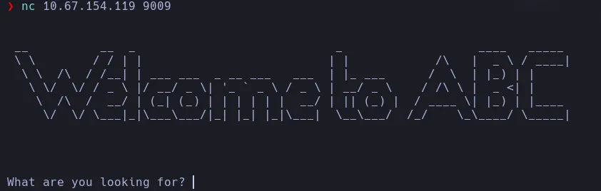 b3dr0ck - THM Writeup Port 9009 Banner.